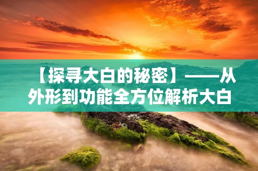 【探寻大白的秘密】——从外形到功能全方位解析大白 【探寻大白的秘密】——从外形到功能全方位解析大白