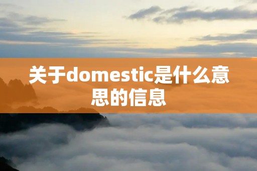 关于domestic是什么意思的信息 关于domestic是什么意思的信息
