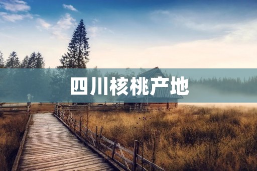 四川核桃产地:品质卓越的天府之国