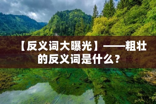 【反义词大曝光】——粗壮的反义词是什么?