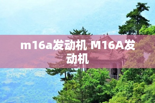 m16a发动机 M16A发动机 m16a发动机 M16A发动机