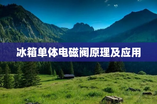 冰箱单体电磁阀原理及应用