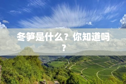 冬笋是什么？你知道吗？