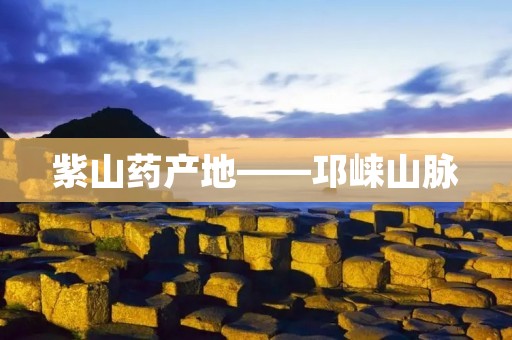 紫山药产地——邛崃山脉