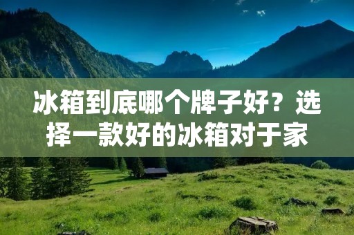 冰箱到底哪个牌子好？选择一款好的冰箱对于家庭生活来说非常重要，它不仅能够保持食物新鲜，还能够为我们提供便利和舒适。但是，市场上有许多不同品牌的冰箱，让人很难知道哪个是最好的选择。在本文中，我们将探讨一些最受欢迎的冰箱品牌，并讨论它们的优点和缺点，以帮助您在购买时做出最佳决策。