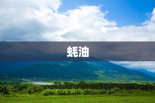 蚝油：口感鲜美，营养丰富的调味佳品