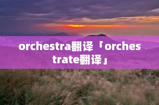 orchestra翻译「orchestrate翻译」