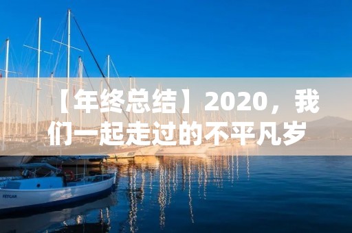 【年终总结】2020,我们一起走过的不平凡岁月