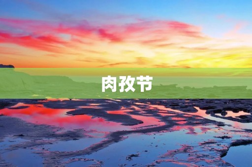 肉孜节：新疆维吾尔族的传统节日