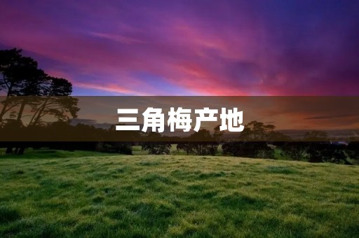 三角梅产地：探寻这朵美丽花卉的故乡