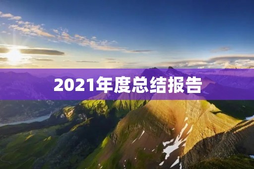 2021年度总结报告:探索创新,实现突破