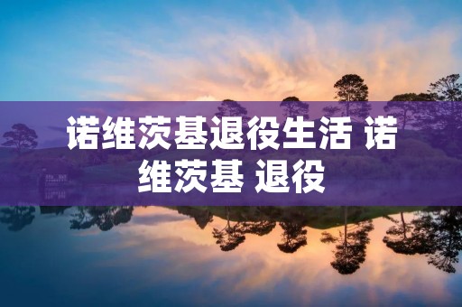 诺维茨基退役生活 诺维茨基 退役 诺维茨基退役生活 诺维茨基 退役