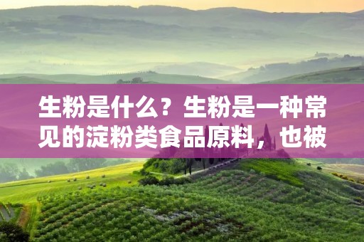 生粉是什么？生粉是一种常见的淀粉类食品原料，也被称为生粉淀粉或生粉面粉。生粉的主要成分是淀粉，它是一种由葡萄糖分子组成的多糖物质，是植物体内最常见的储能物质之一。生粉通常由玉米、马铃薯、木薯等淀粉含量较高的植物制成，是一种白色、无味、无臭、无毒的粉末状物质。