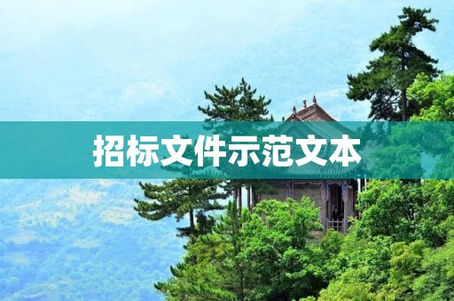 招标文件示范文本:如何撰写一份完整有效的招标文件