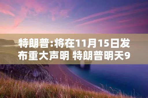 特朗普:将在11月15日发布重大声明 特朗普明天9点发表重大声明
