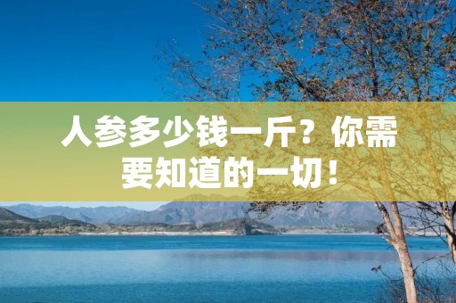 人参多少钱一斤？你需要知道的一切！