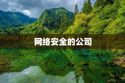 网络安全的公司：保护你的信息安全