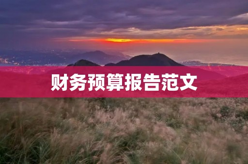 财务预算报告范文:如何制定有效的财务预算