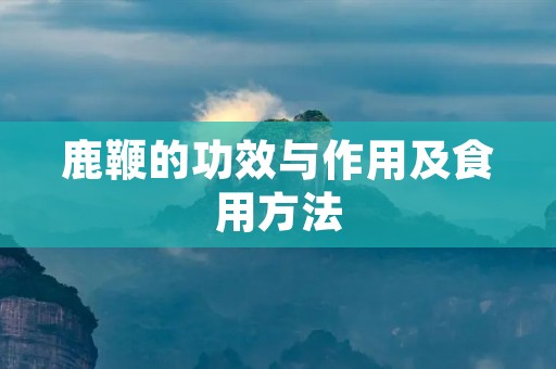 鹿鞭的功效与作用及食用方法