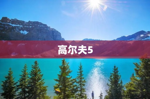 高尔夫5:一款经典的家用车 高尔夫5:一款经典的家用车