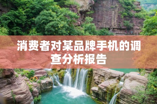 消费者对某品牌手机的调查分析报告