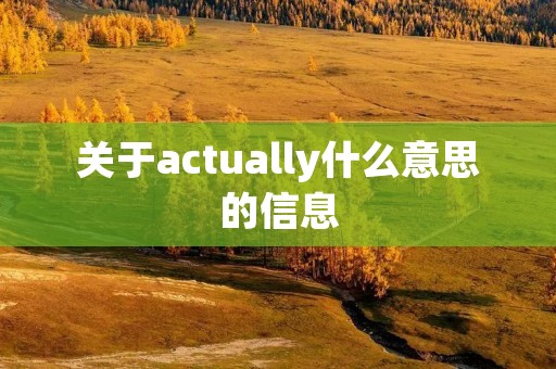 关于actually什么意思的信息