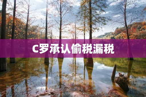 C罗承认偷税漏税:足球明星如何避税? C罗承认偷税漏税:足球明星如何避税?