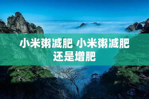 小米粥减肥 小米粥减肥还是增肥 小米粥减肥 小米粥减肥还是增肥