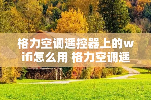 格力空调遥控器上的wifi怎么用 格力空调遥控器wifi功能怎么用