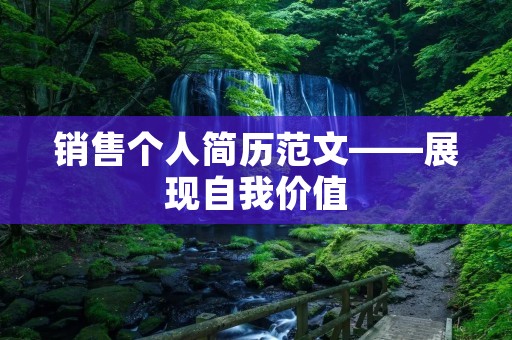 销售个人简历范文——展现自我价值