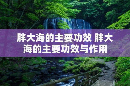 胖大海的主要功效 胖大海的主要功效与作用
