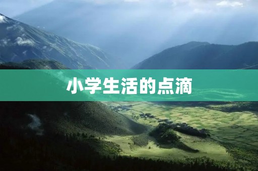 小学生活的点滴 小学生活的点滴