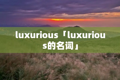 luxurious「luxurious的名词」