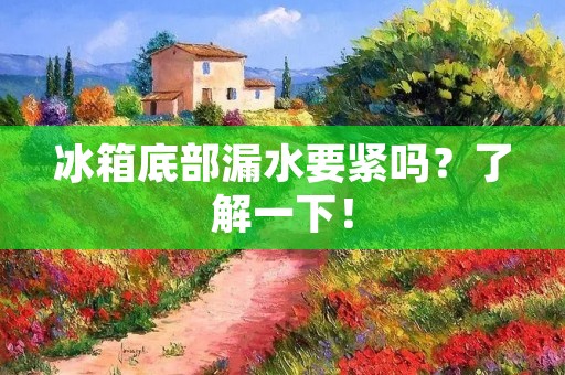 冰箱底部漏水要紧吗？了解一下！