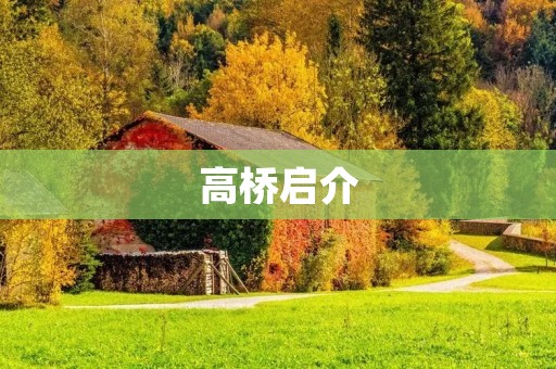 高桥启介：日本当代艺术家的代表人物