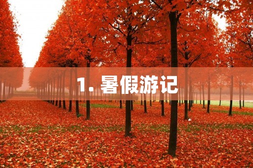 1. 暑假游记：一场难忘的旅行