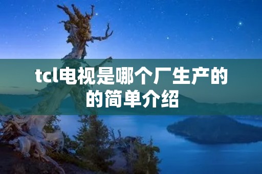 tcl电视是哪个厂生产的的简单介绍