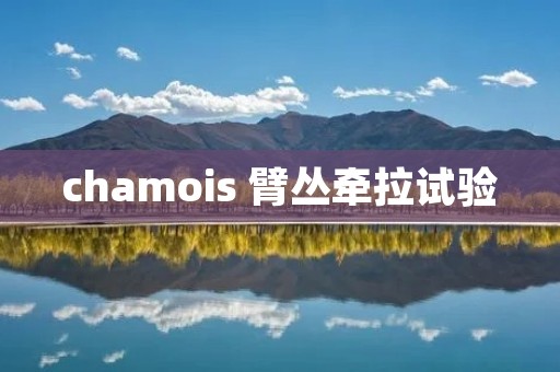 chamois 臂丛牵拉试验