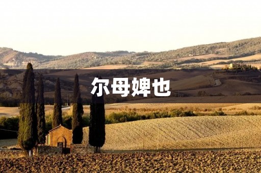 尔母婢也:明代宫廷中的女性职业 尔母婢也:明代宫廷中的女性职业