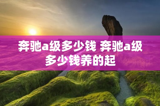 奔驰a级多少钱 奔驰a级多少钱养的起