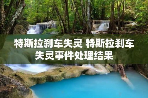 特斯拉刹车失灵 特斯拉刹车失灵事件处理结果