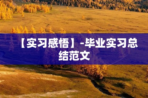 【实习感悟】-毕业实习总结范文