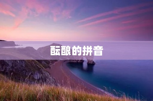 酝酿的拼音:中文输入法的未来