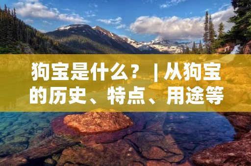 狗宝是什么? | 从狗宝的历史、特点、用途等方面详细解析 狗宝是什么? | 从狗宝的历史、特点、用途等方面详细解析