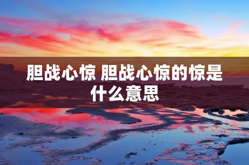胆战心惊 胆战心惊的惊是什么意思