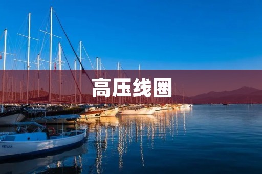 高压线圈:强电场的制造者 高压线圈:强电场的制造者