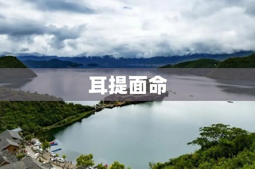 耳提面命:领导的必备能力 耳提面命:领导的必备能力