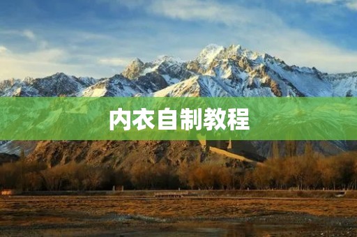 内衣自制教程：打造属于你的私人定制