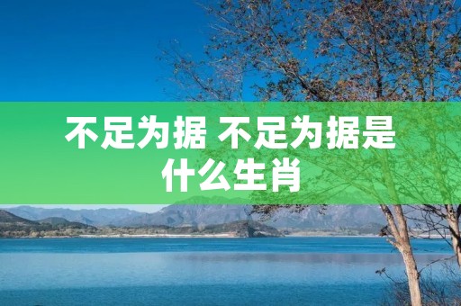 不足为据 不足为据是什么生肖