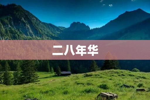 二八年华:回顾过去,展望未来 二八年华:回顾过去,展望未来